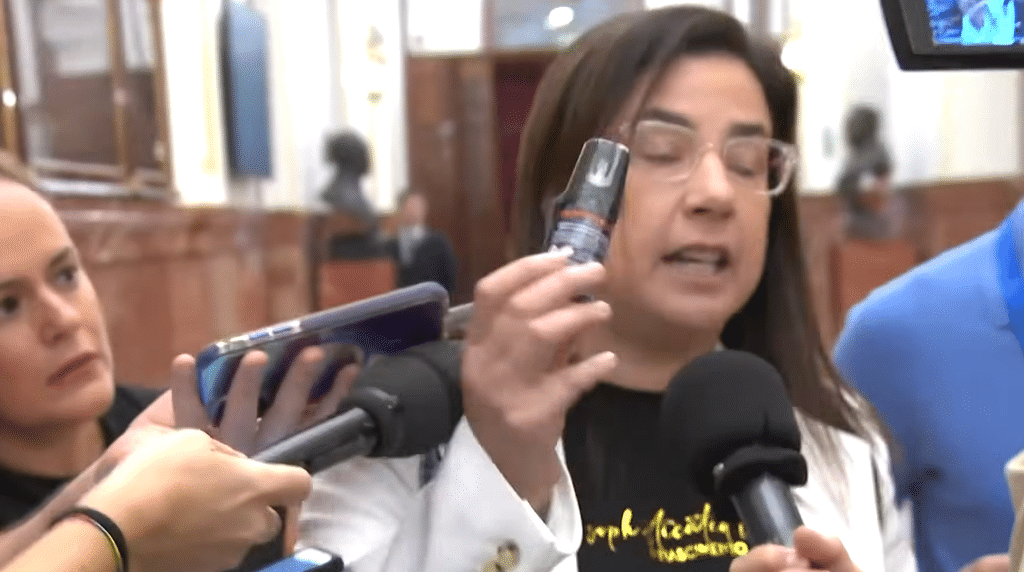 Ana Belén Vázquez Blanco: La diputada que paralizó el Congreso con un bote de spray de pimienta Ana Belén Vázquez Blanco: La diputada que paralizó el Congreso con un bote de spray de pimienta